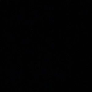 Meet your Posher, Bianca